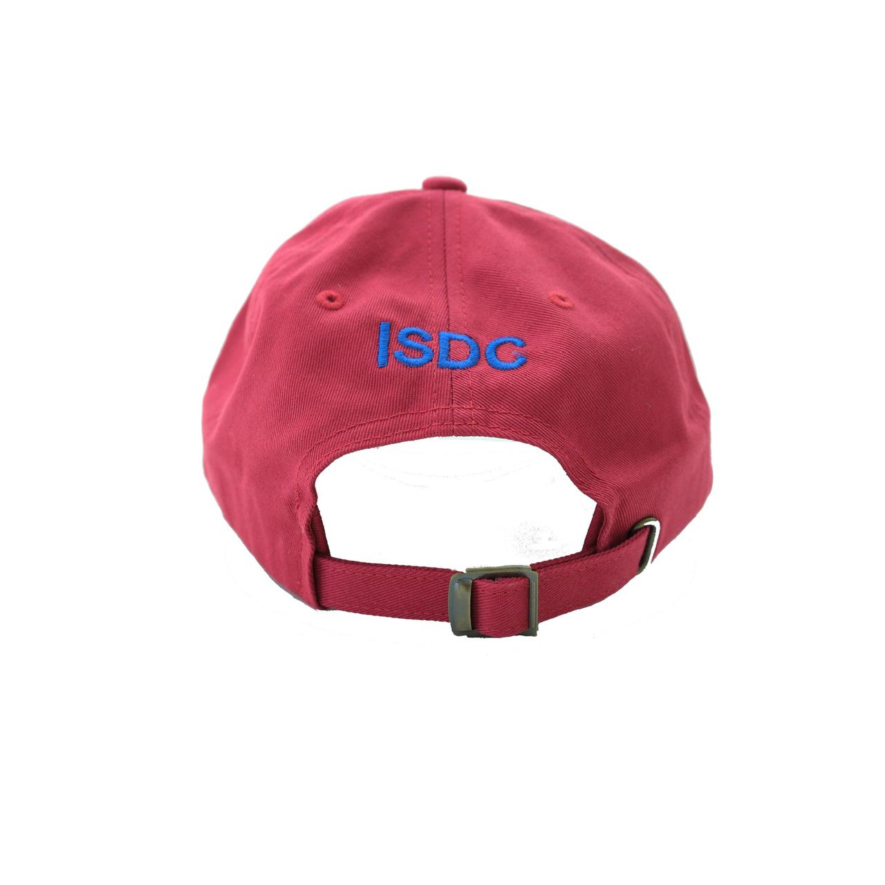 I FEEL PUNK TODAY CAP - RED by I SELL DAD CAPS